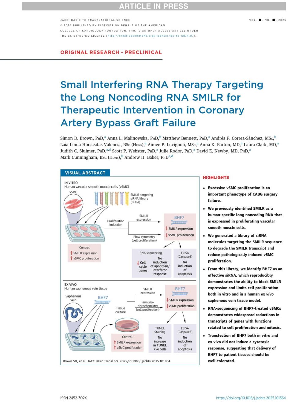 smilr main image.jpg