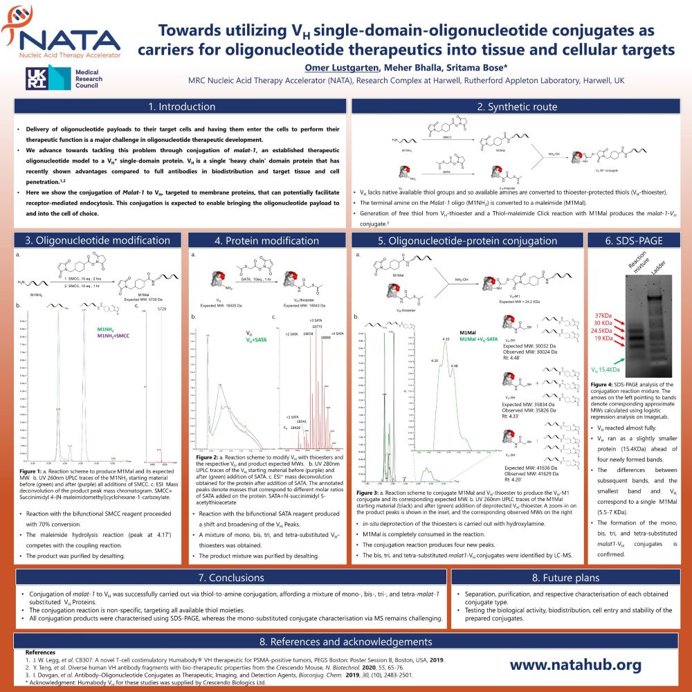 Towards utilizing VH single_domain_oligonucleotide conjugates as carriers for oligonucleotide therapeutics into tissue and cellular targets_overview.jpg