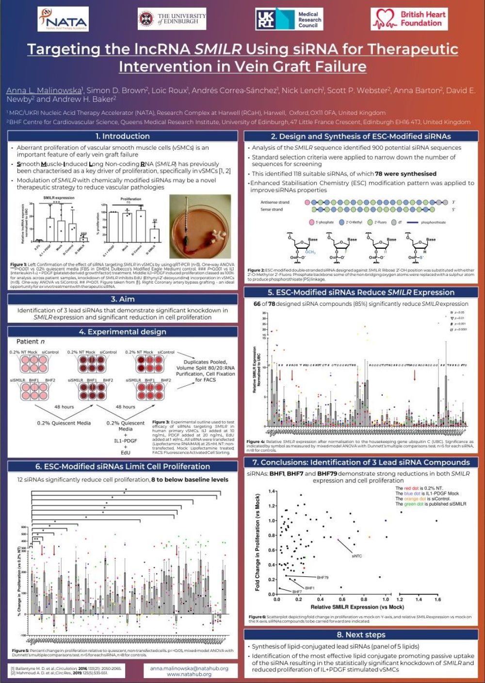 Targeting the IncRNA SMILR Using siRNA for Therapeutic Interention in Vein Graft Failure overview.jpg